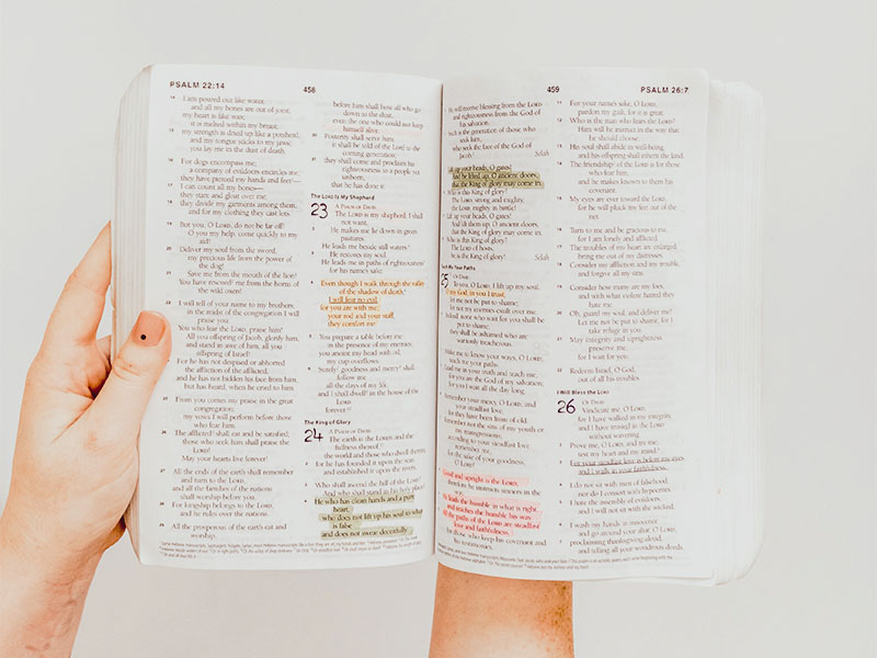Person holding a well-used Bible