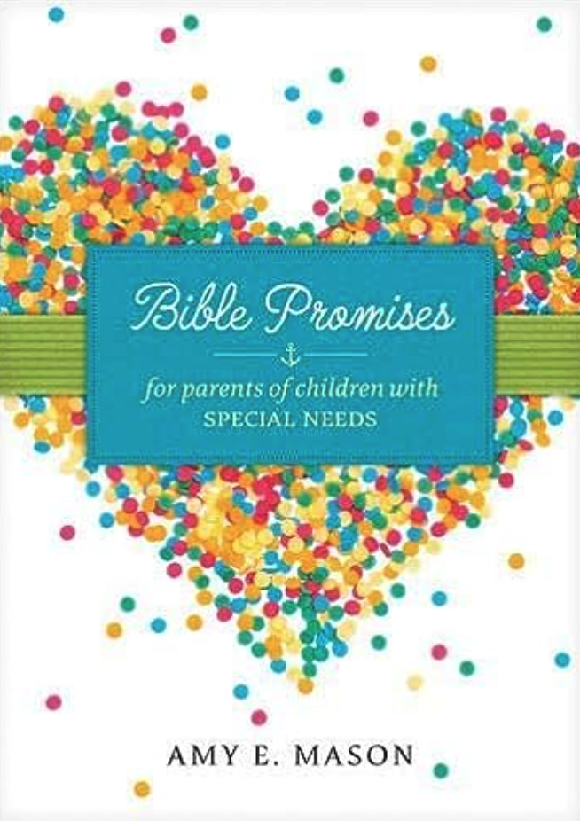 Bible Promises for parents o children with special needs book cover