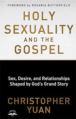 Holy Sexuality book cover
